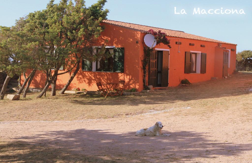 Ferienwohnung La Macciona Aglientu Exterior foto
